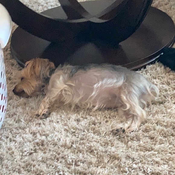 Meet your Posher, Reasa - Picture 1 of 1